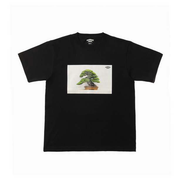 BONSAI PHOTO T-SHIRT　-五葉松- 